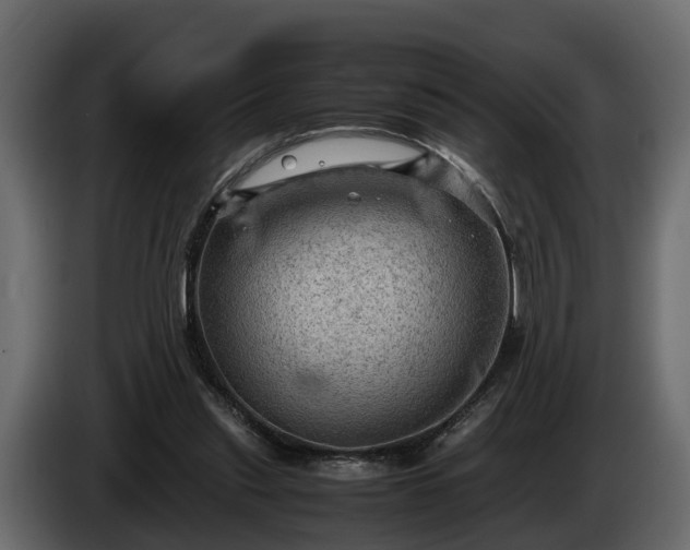 X0000085740253200703231116