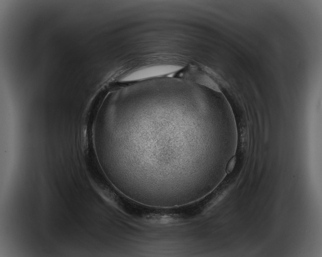 X0000085740254200703231116
