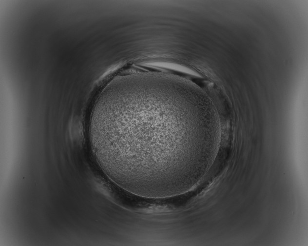 X0000085740256200703231116