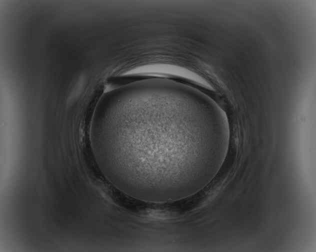 X0000085740259200703231116