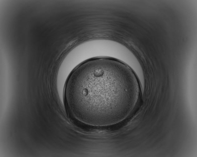 X0000085740260200703231116