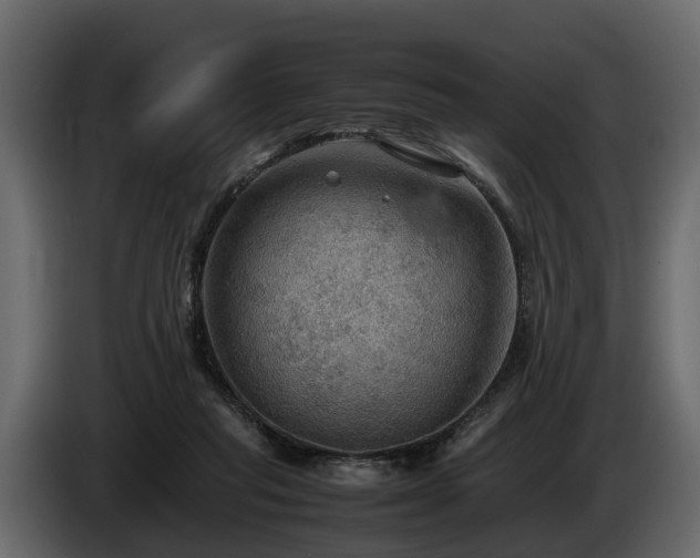X0000085740261200703231116