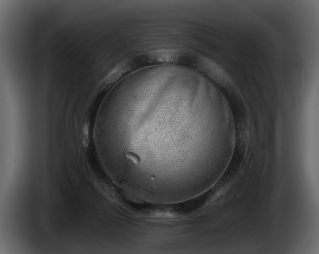 X0000085740262200703231116