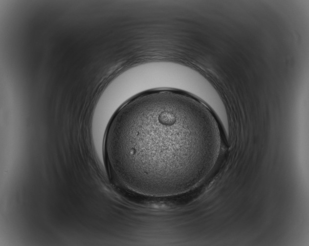 X0000085740264200703231116