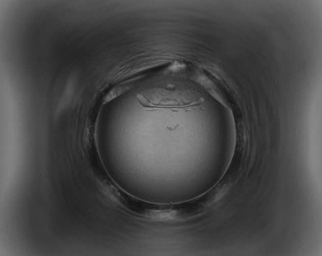 X0000085740266200703231116