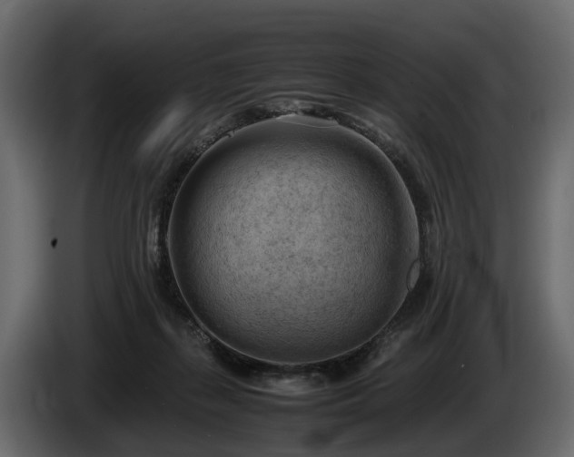 X0000085740267200703231116
