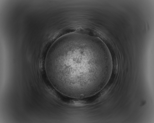 X0000085740268200703231116