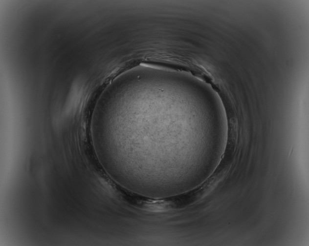 X0000085740269200703231116