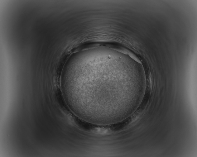 X0000085740272200703231116