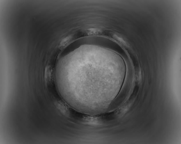 X0000085740276200703231116