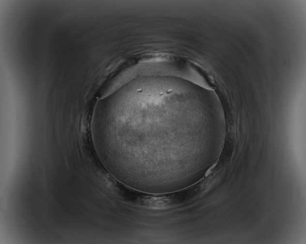 X0000085740277200703231116