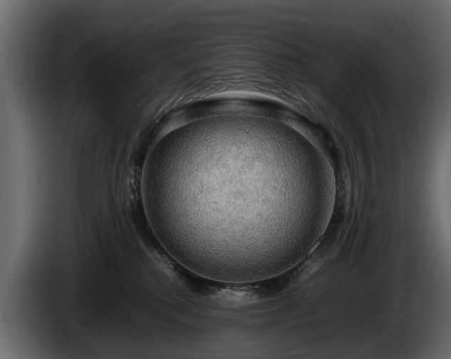 X0000085740280200703231117