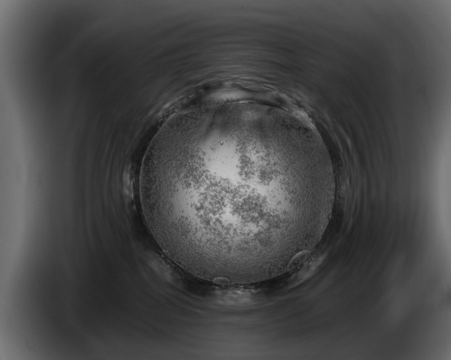 X0000085740282200703231117