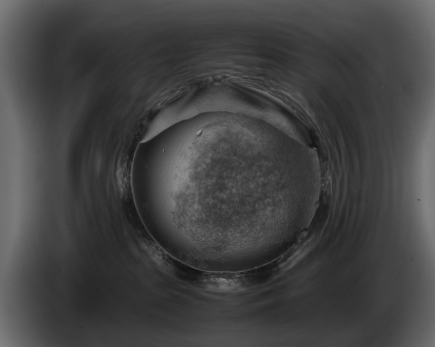 X0000085740285200703231117