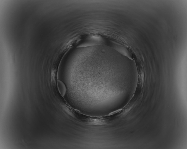 X0000085740286200703231117