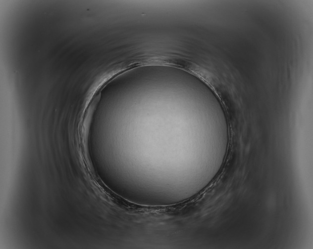 X0000085740289200703231116