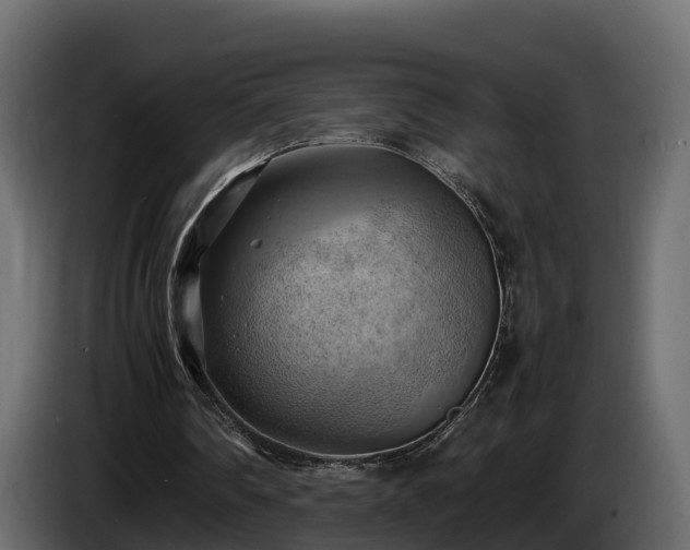 X0000085740290200703231116