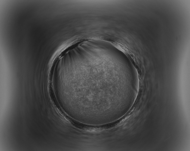 X0000085740293200703231116