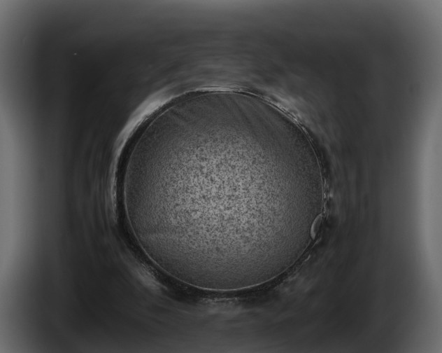X0000085740296200703231116