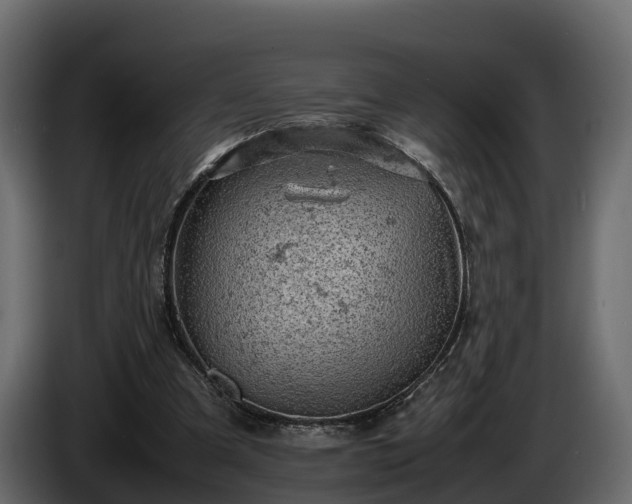 X0000085740297200703231116
