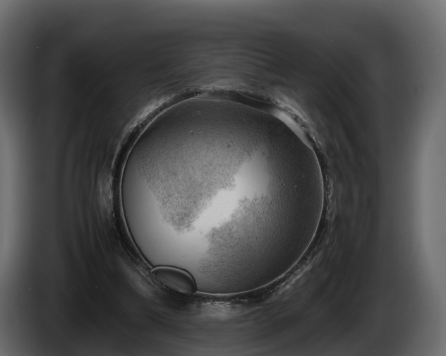 X0000085740298200703231116