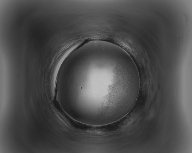X0000085740299200703231116