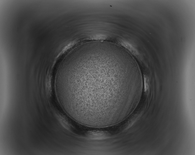 X0000085740300200703231116