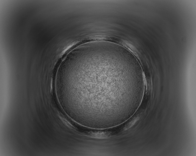 X0000085740301200703231116