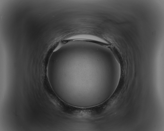 X0000085740303200703231116
