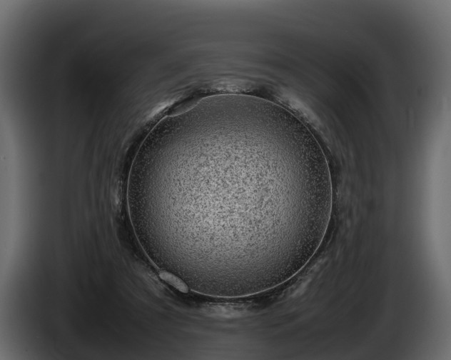 X0000085740305200703231116