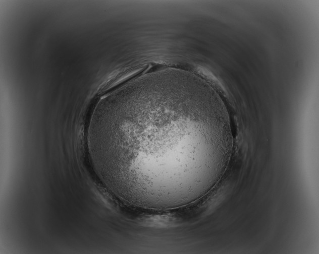 X0000085740306200703231116