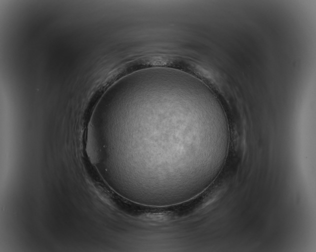 X0000085740307200703231116