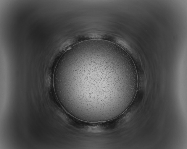 X0000085740309200703231116