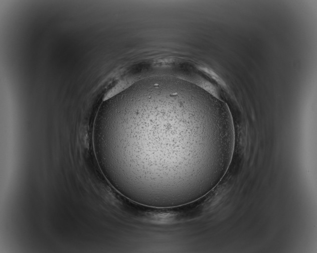 X0000085740313200703231116