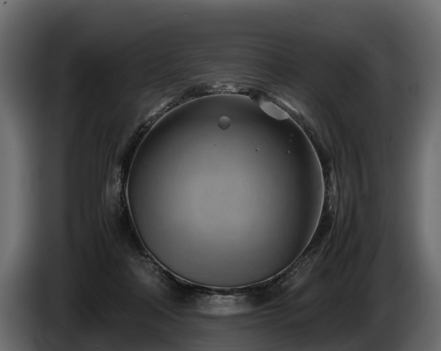 X0000085740314200703231116