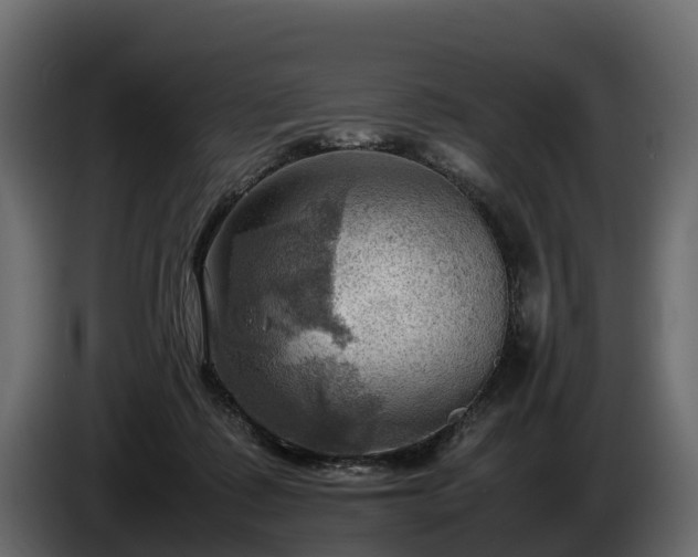X0000085740315200703231116