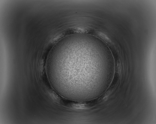 X0000085740318200703231116