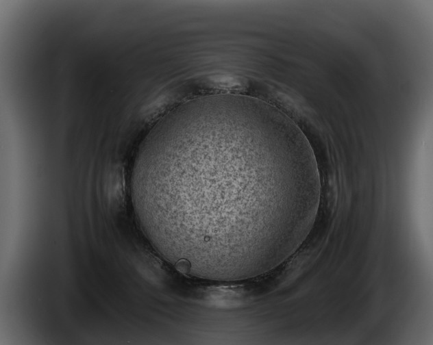 X0000085740320200703231116