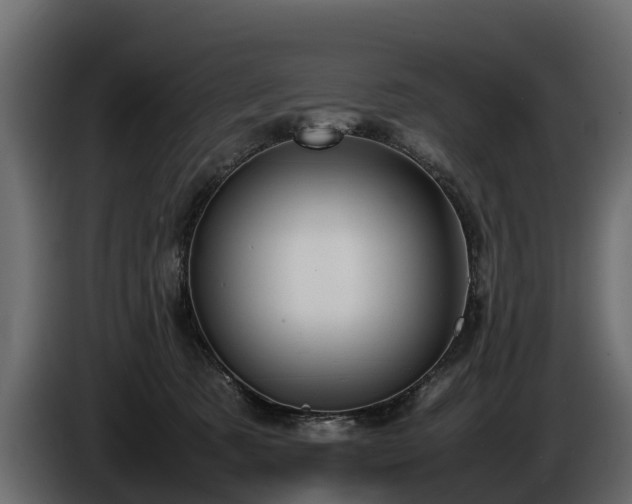 X0000085740321200703231116
