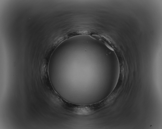 X0000085740322200703231115
