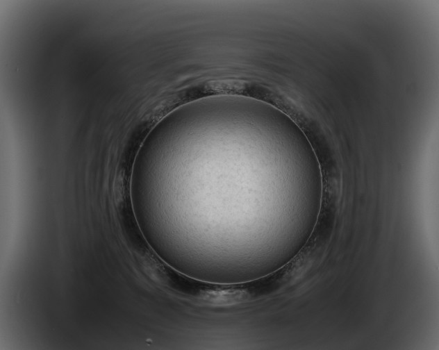 X0000085740323200703231115