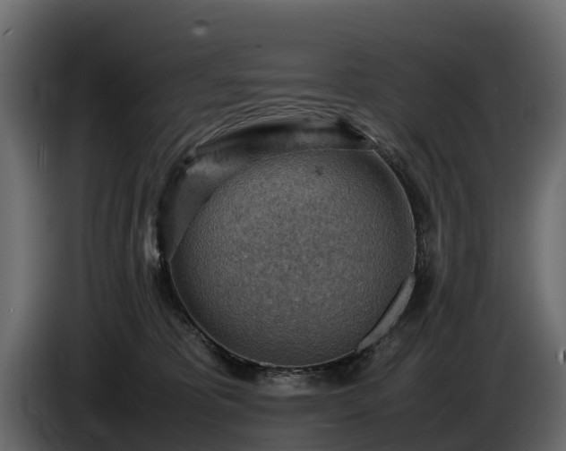X0000085740325200703231115