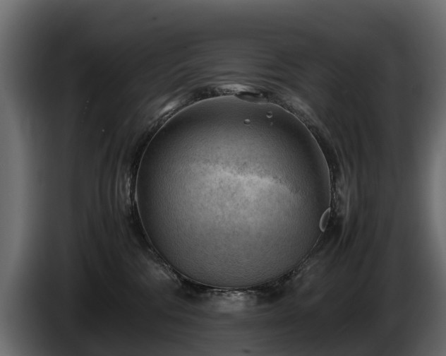 X0000085740330200703231115