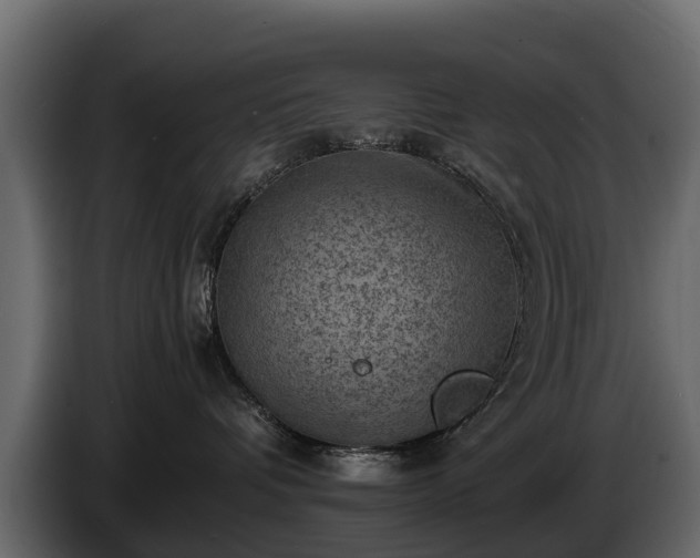 X0000085740336200703231115