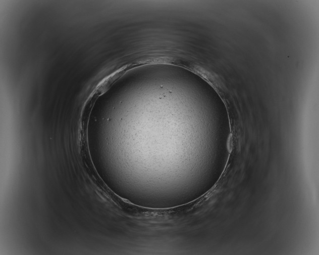 X0000085740338200703231115
