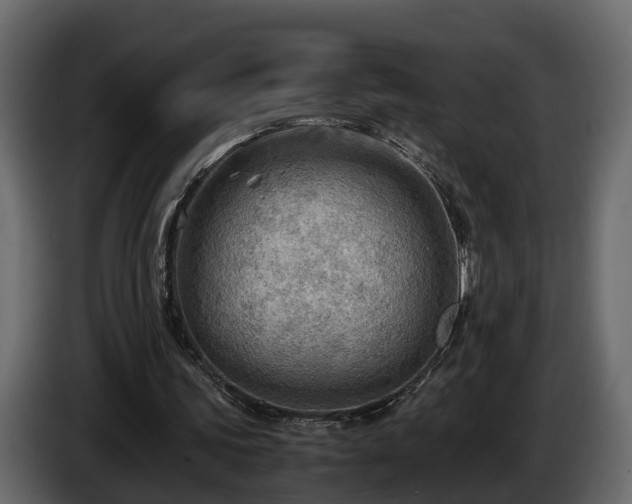 X0000085740339200703231115
