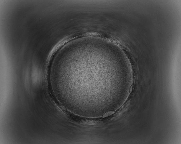 X0000085740341200703231115