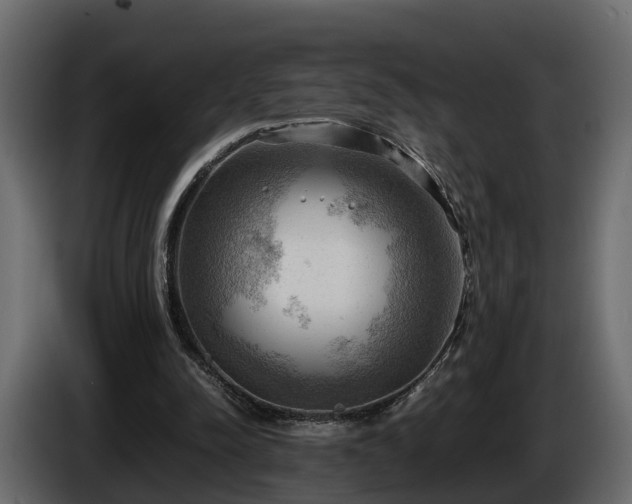 X0000085740342200703231115