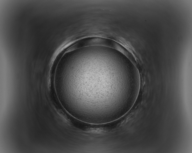 X0000085740344200703231115