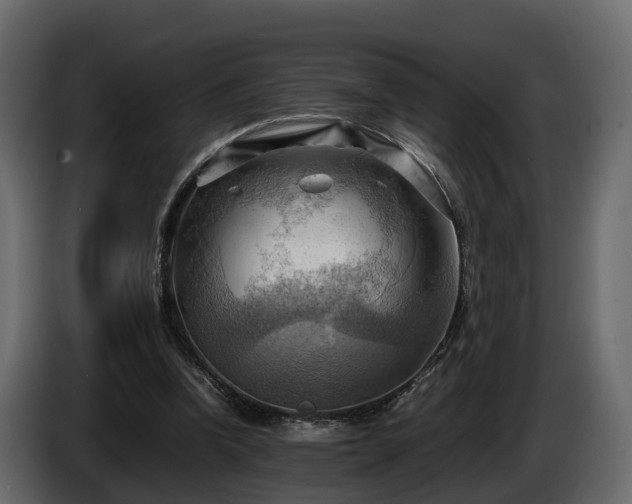 X0000085740346200703231115
